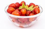 Red Tomatoes